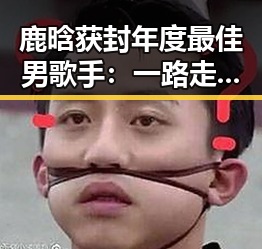 鹿晗获封年度最佳男歌手：一路走来的荣耀与挑战