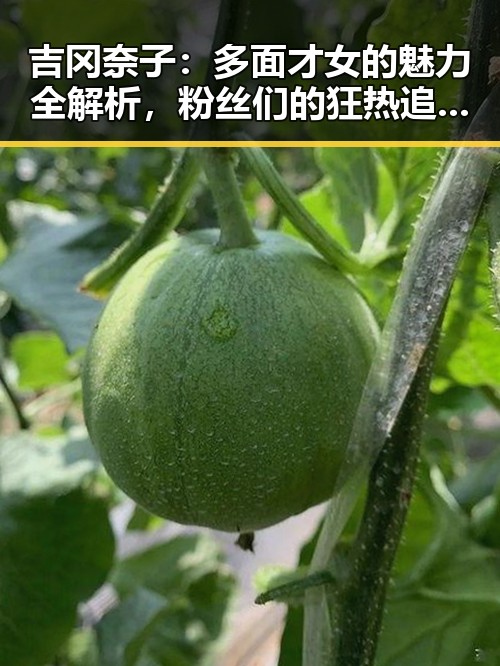 吉冈奈子：多面才女的魅力全解析，粉丝们的狂热追随不断升温！✨