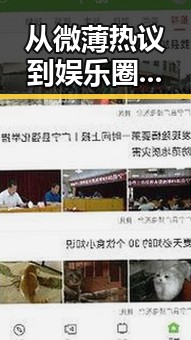 从微薄热议到娱乐圈风暴：明星背后那些不可忽视的故事
